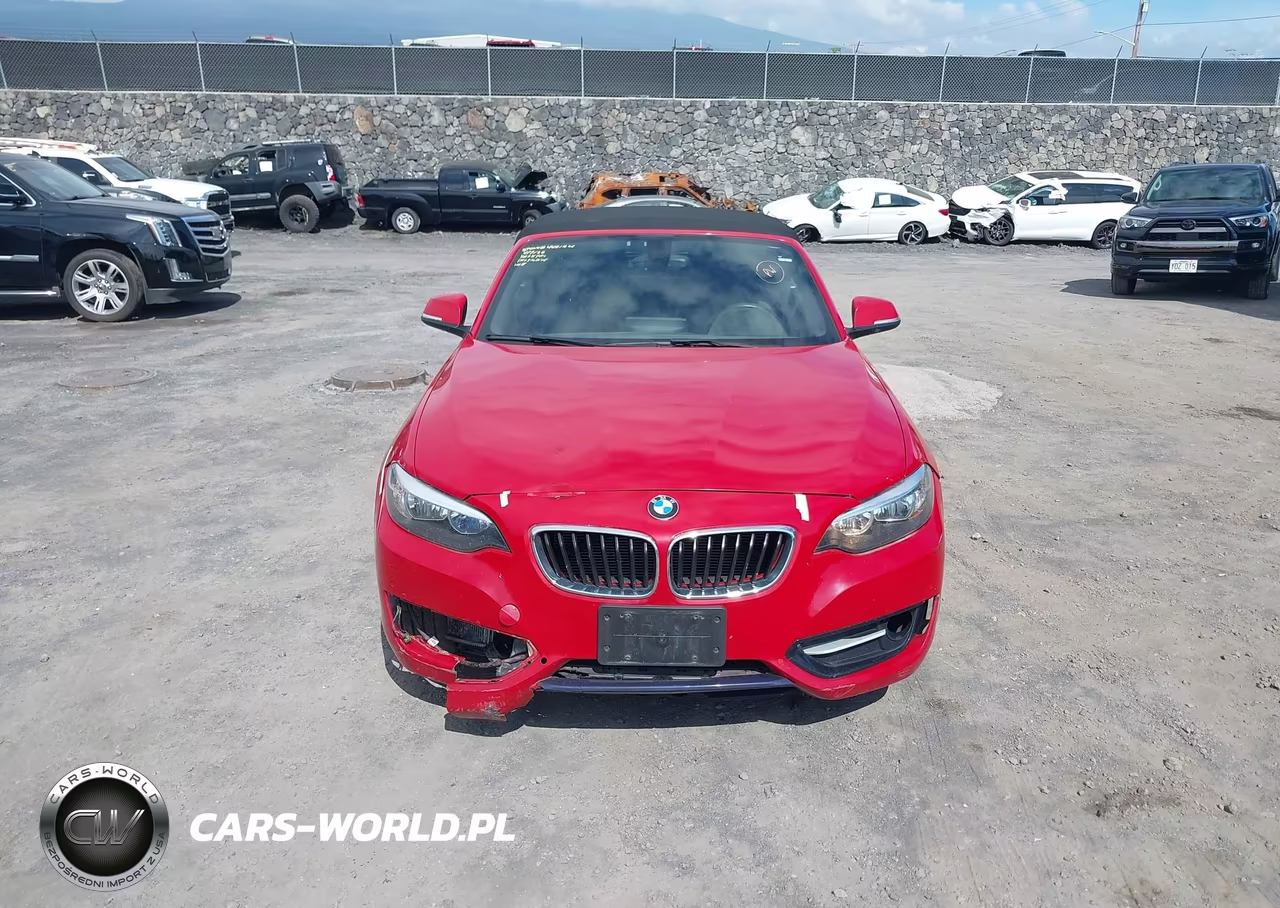2016 BMW 228I xDrive VIN:WBA1L9C52GV324858 - 12