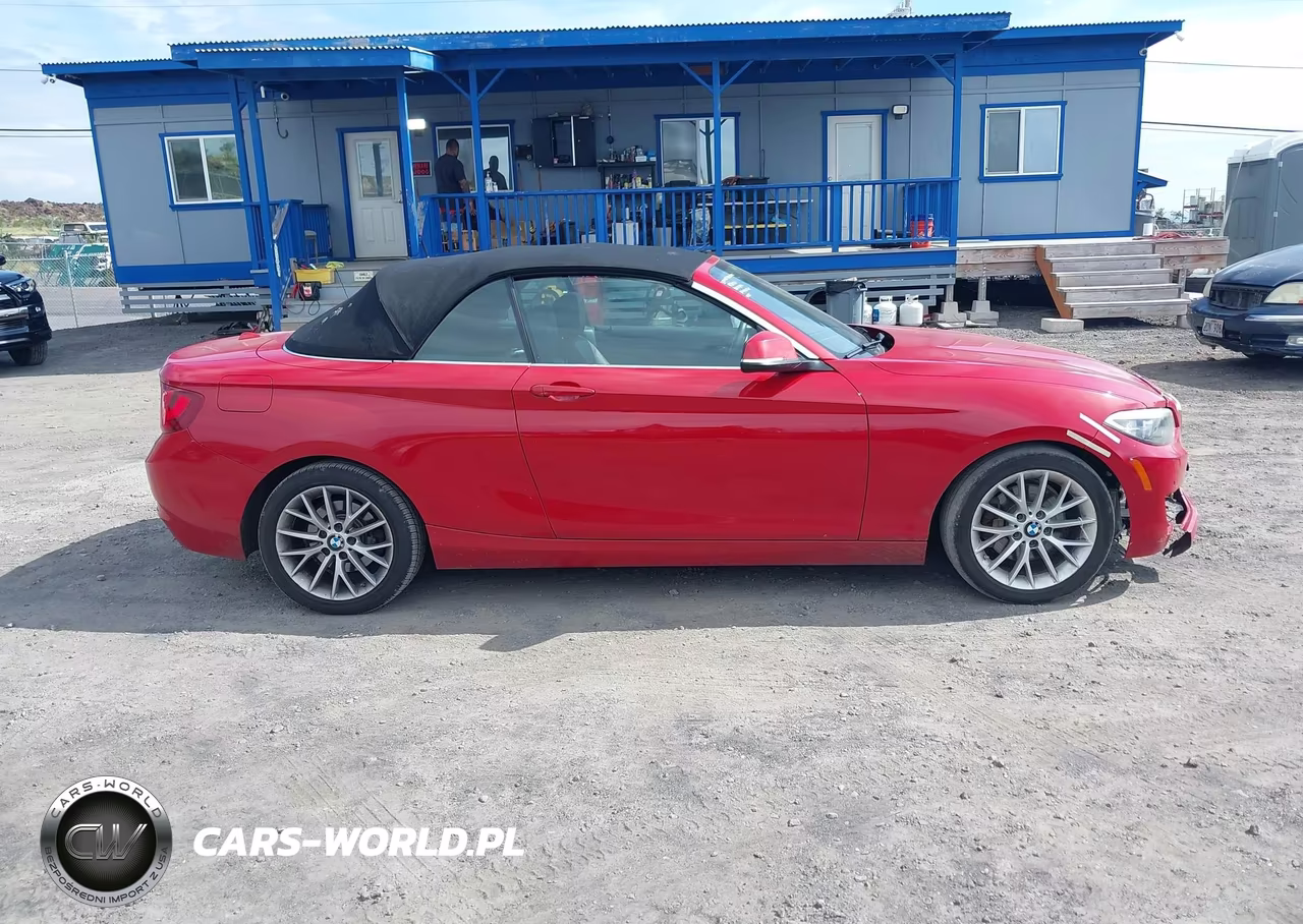 2016 BMW 228I xDrive VIN:WBA1L9C52GV324858 - 13