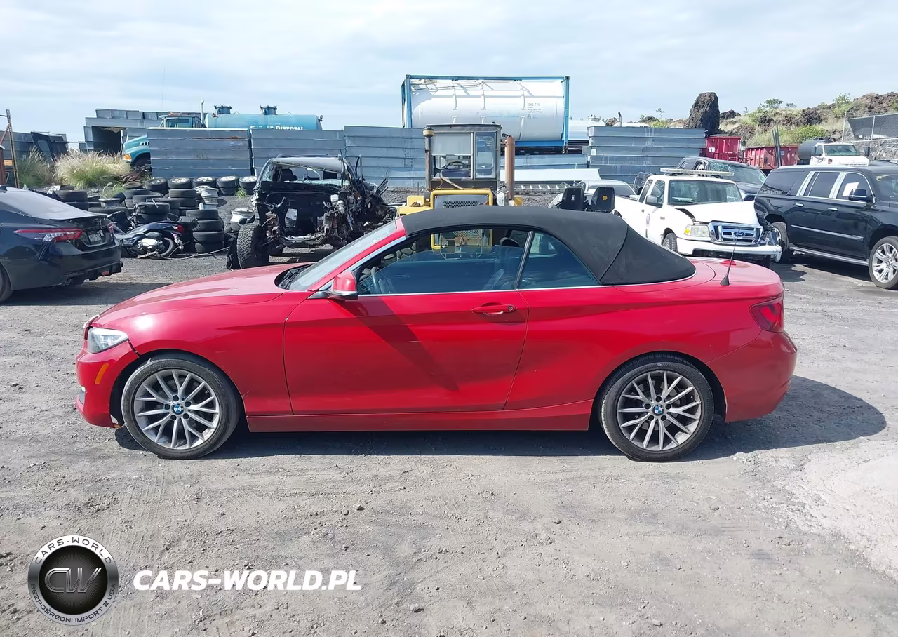 2016 BMW 228I xDrive VIN:WBA1L9C52GV324858 - 14
