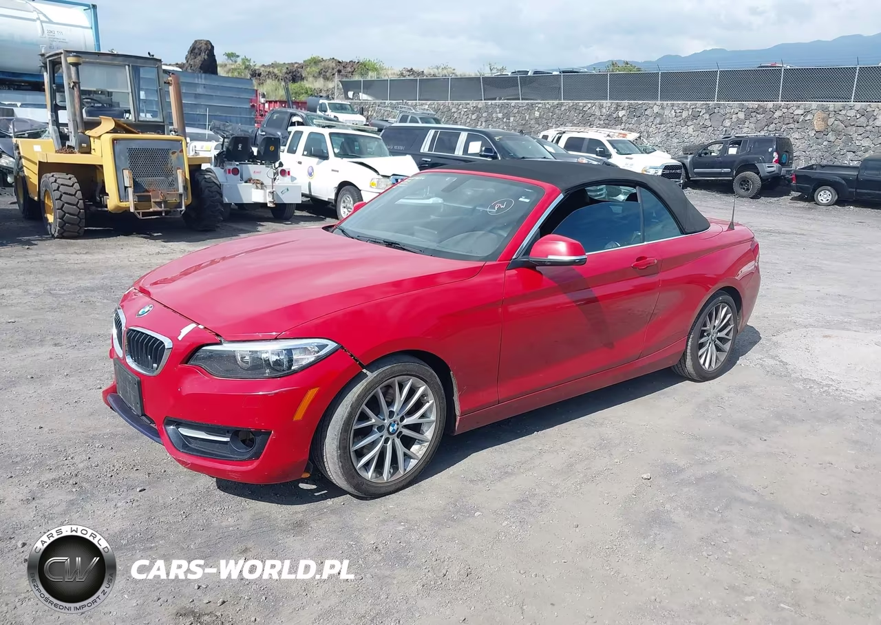 2016 BMW 228I xDrive VIN:WBA1L9C52GV324858 - 2