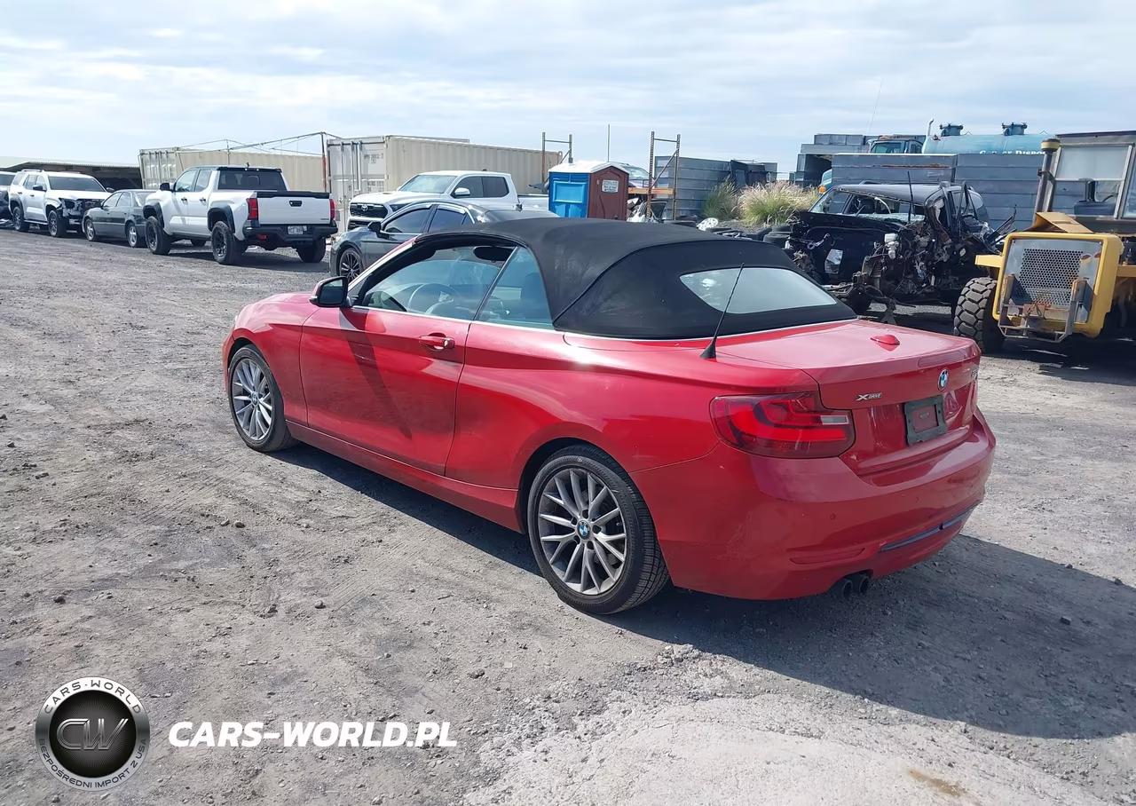 2016 BMW 228I xDrive VIN:WBA1L9C52GV324858 - 3