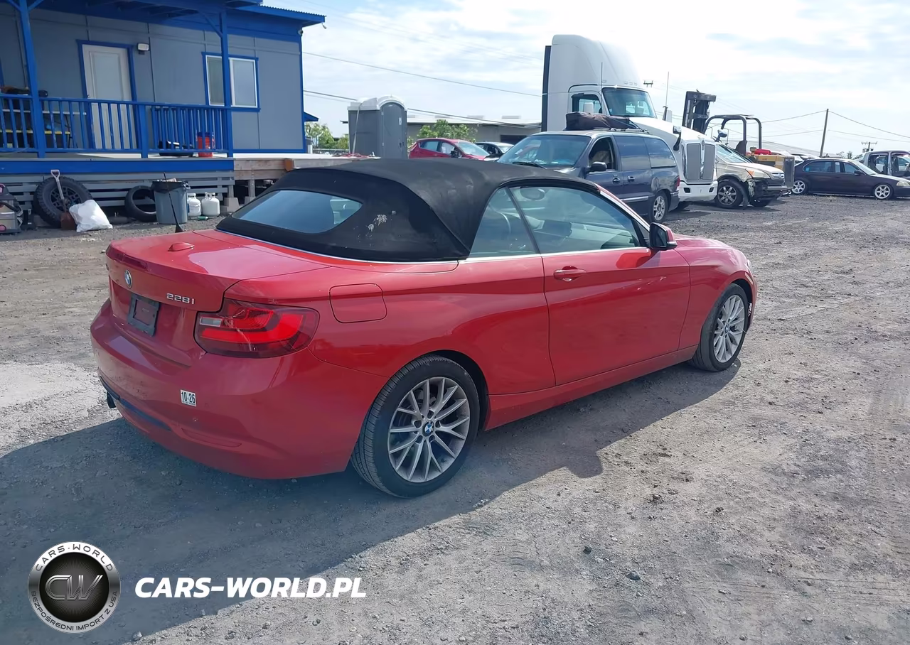 2016 BMW 228I xDrive VIN:WBA1L9C52GV324858 - 4