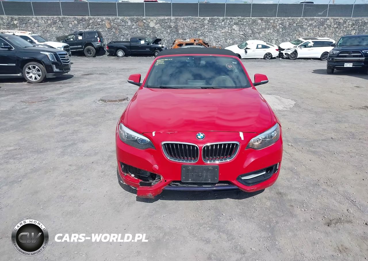2016 BMW 228I xDrive VIN:WBA1L9C52GV324858 - 6