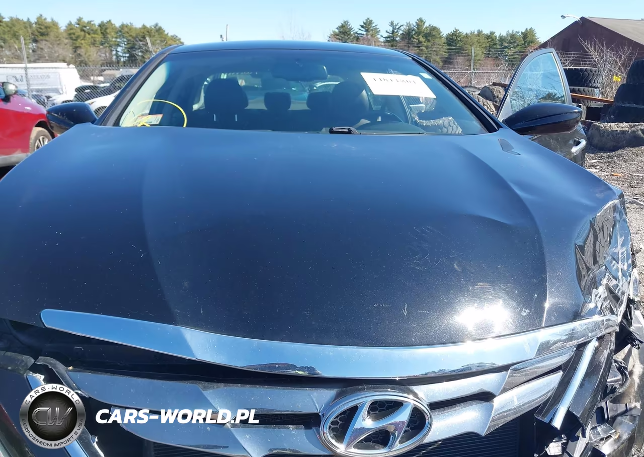 2013 Hyundai Sonata Se VIN:5NPEC4AC8DH807937 - 10
