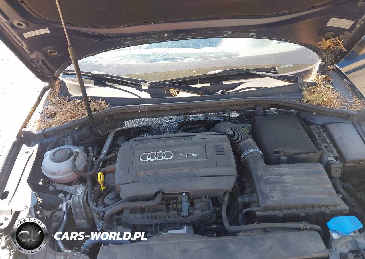 2018 Audi A3 2.0T Premium-2.0T Tech Premium VIN:WAU78LFF0J1023016 - 10