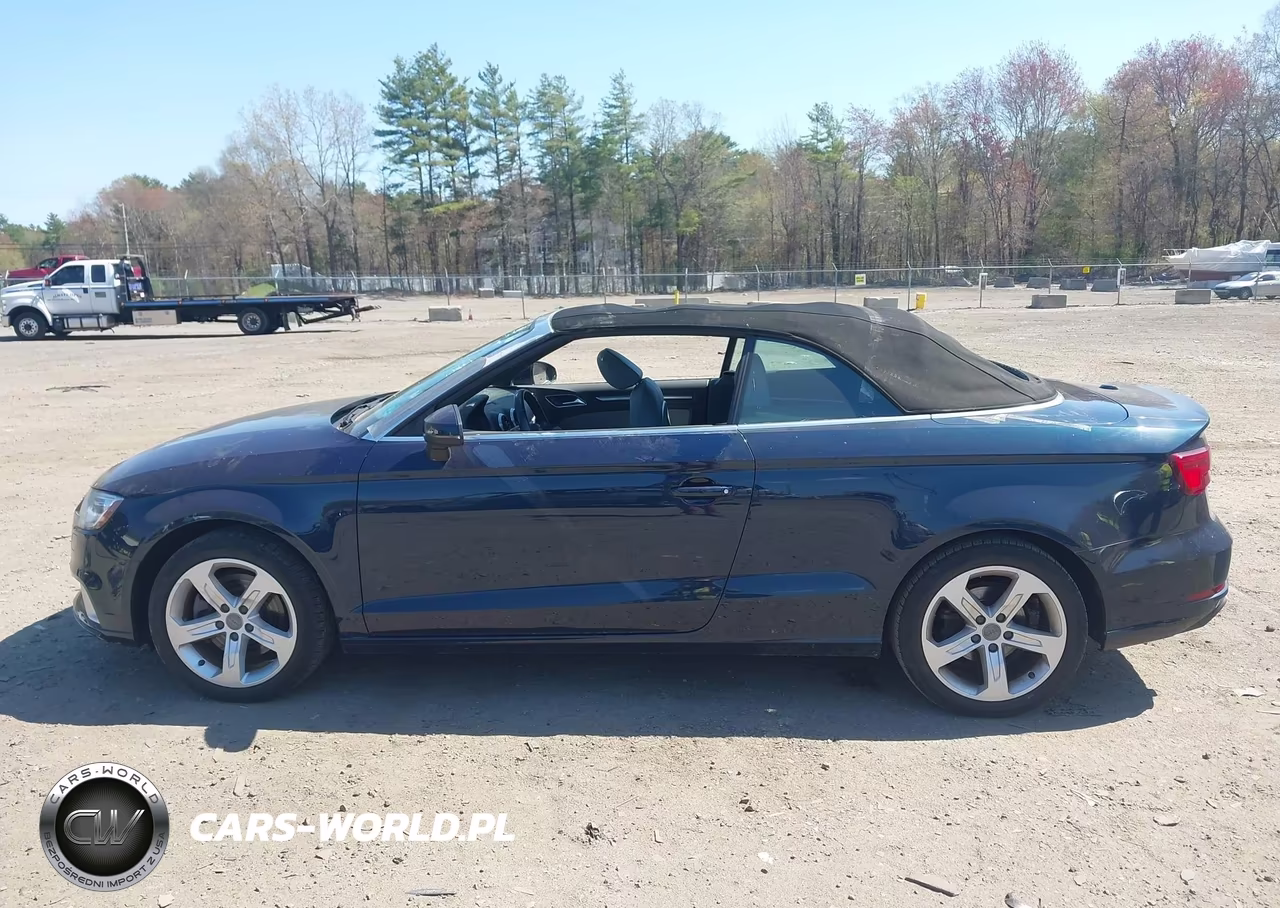 2018 Audi A3 2.0T Premium-2.0T Tech Premium VIN:WAU78LFF0J1023016 - 14