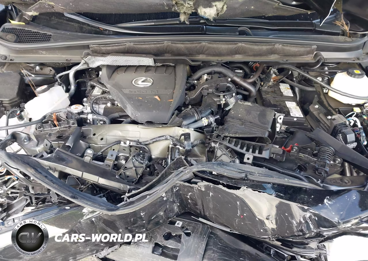 2024 Lexus Rx 350 VIN:2T2BAMBA0RC051676 - 10