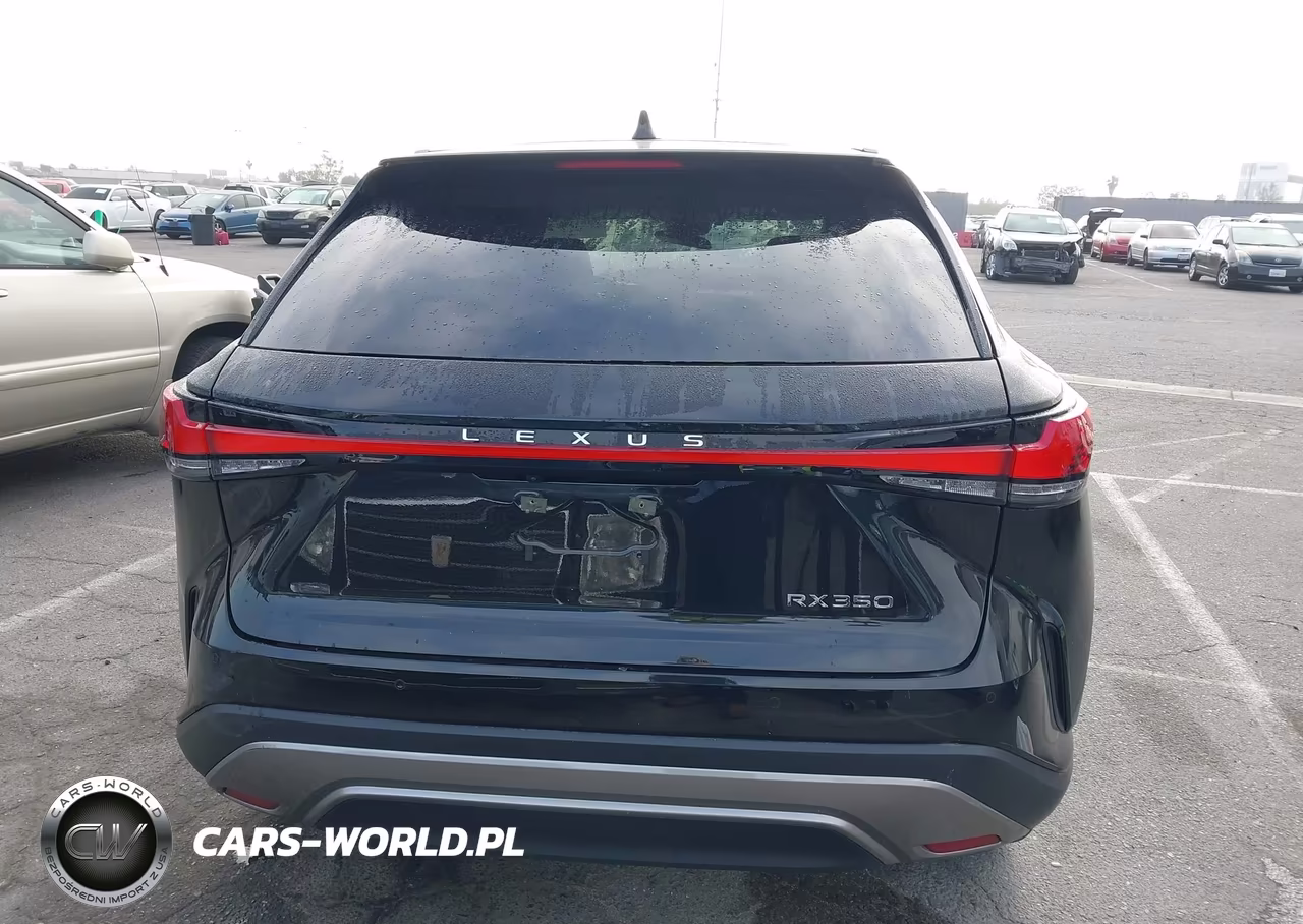 2024 Lexus Rx 350 VIN:2T2BAMBA0RC051676 - 16