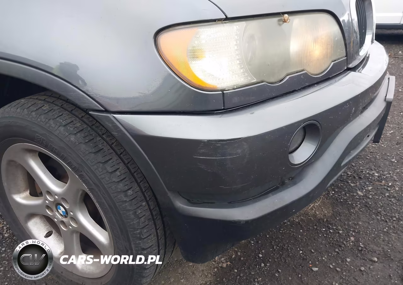2003 BMW X5 3.0I VIN:5UXFA53573LW24066 - 12