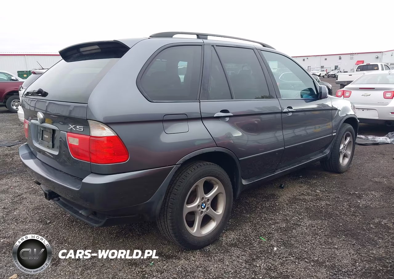 2003 BMW X5 3.0I VIN:5UXFA53573LW24066 - 4