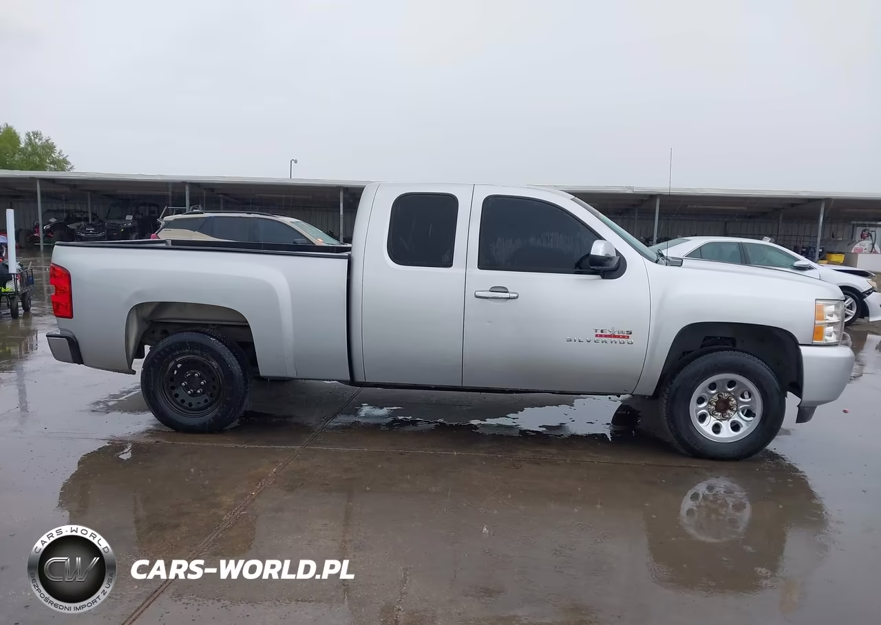 2010 Chevrolet Silverado 1500 Work Truck VIN:1GCSCPEA9AZ145965 - 13