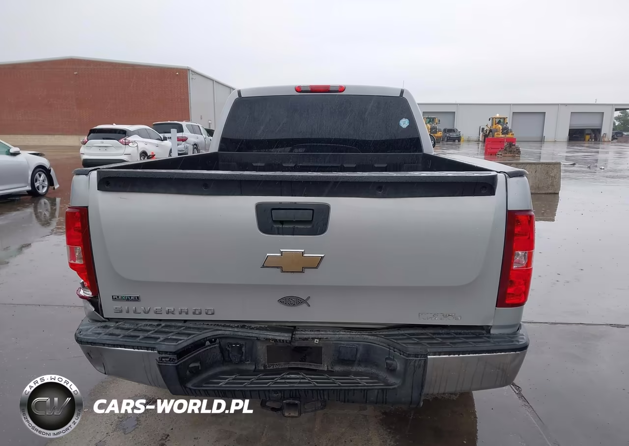 2010 Chevrolet Silverado 1500 Work Truck VIN:1GCSCPEA9AZ145965 - 16