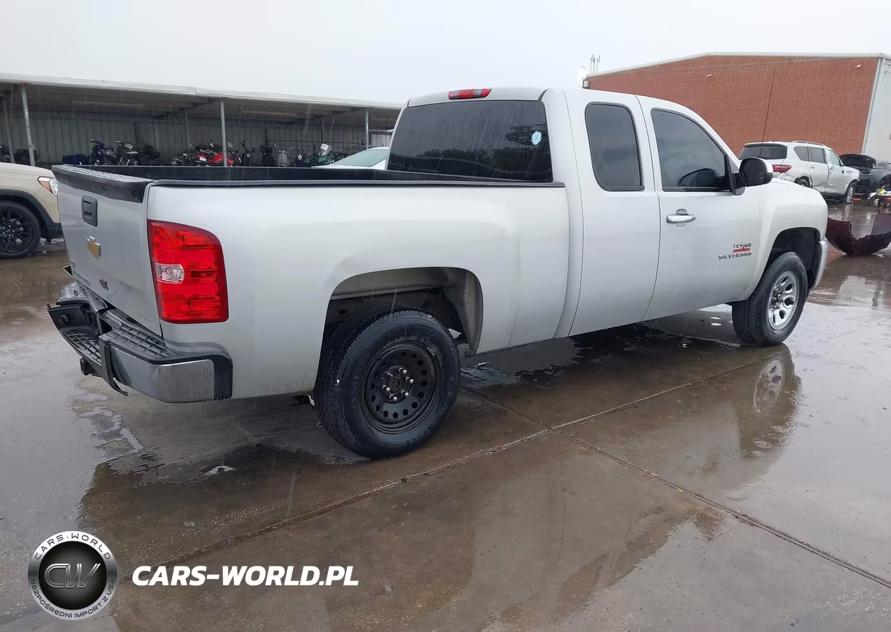 2010 Chevrolet Silverado 1500 Work Truck VIN:1GCSCPEA9AZ145965 - 4