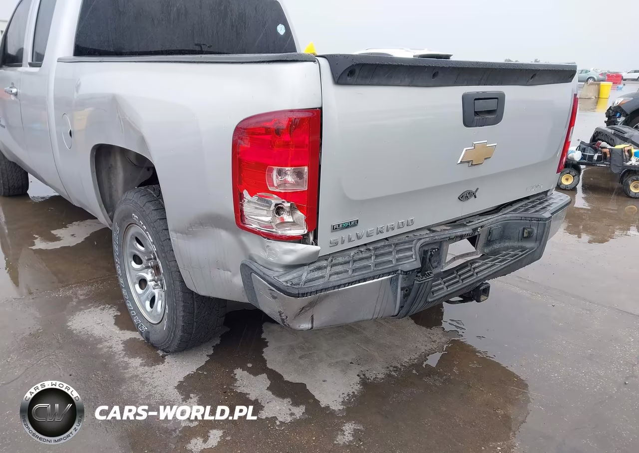 2010 Chevrolet Silverado 1500 Work Truck VIN:1GCSCPEA9AZ145965 - 6