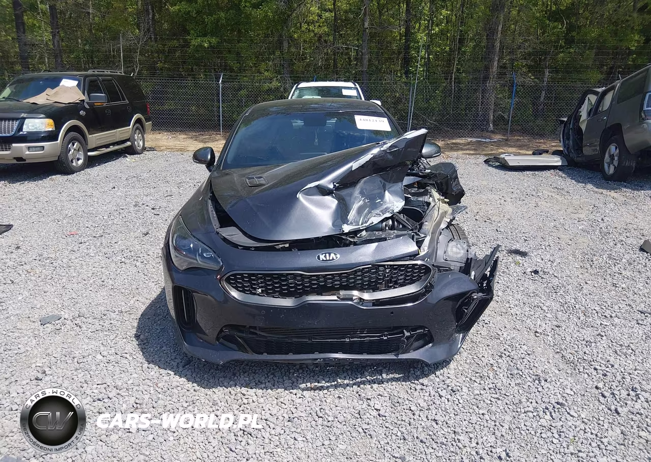 2019 Kia Stinger Gt VIN:KNAE35LC2K6059208 - 12