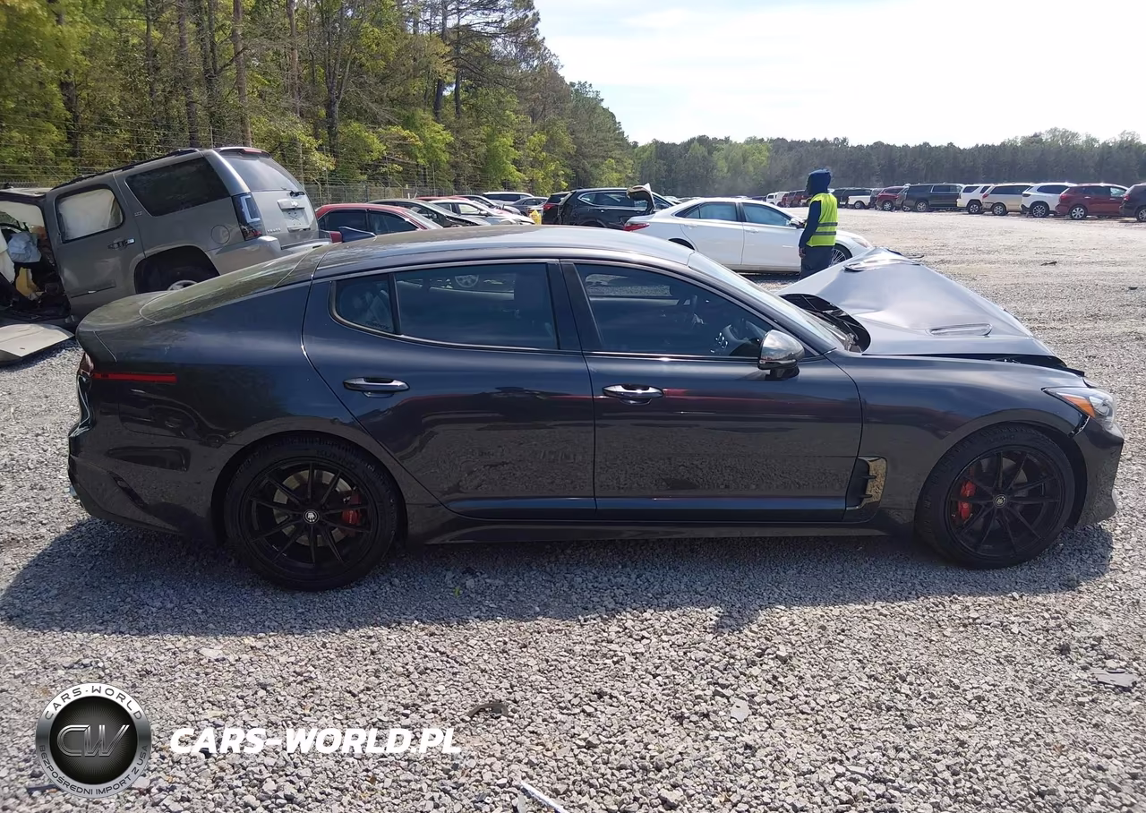 2019 Kia Stinger Gt VIN:KNAE35LC2K6059208 - 13