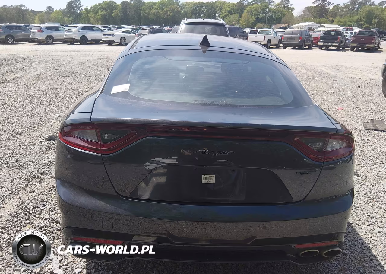 2019 Kia Stinger Gt VIN:KNAE35LC2K6059208 - 16