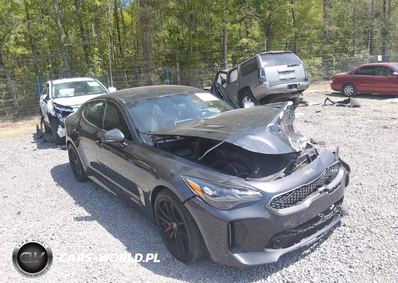 2019 Kia Stinger Gt VIN:KNAE35LC2K6059208 - 6