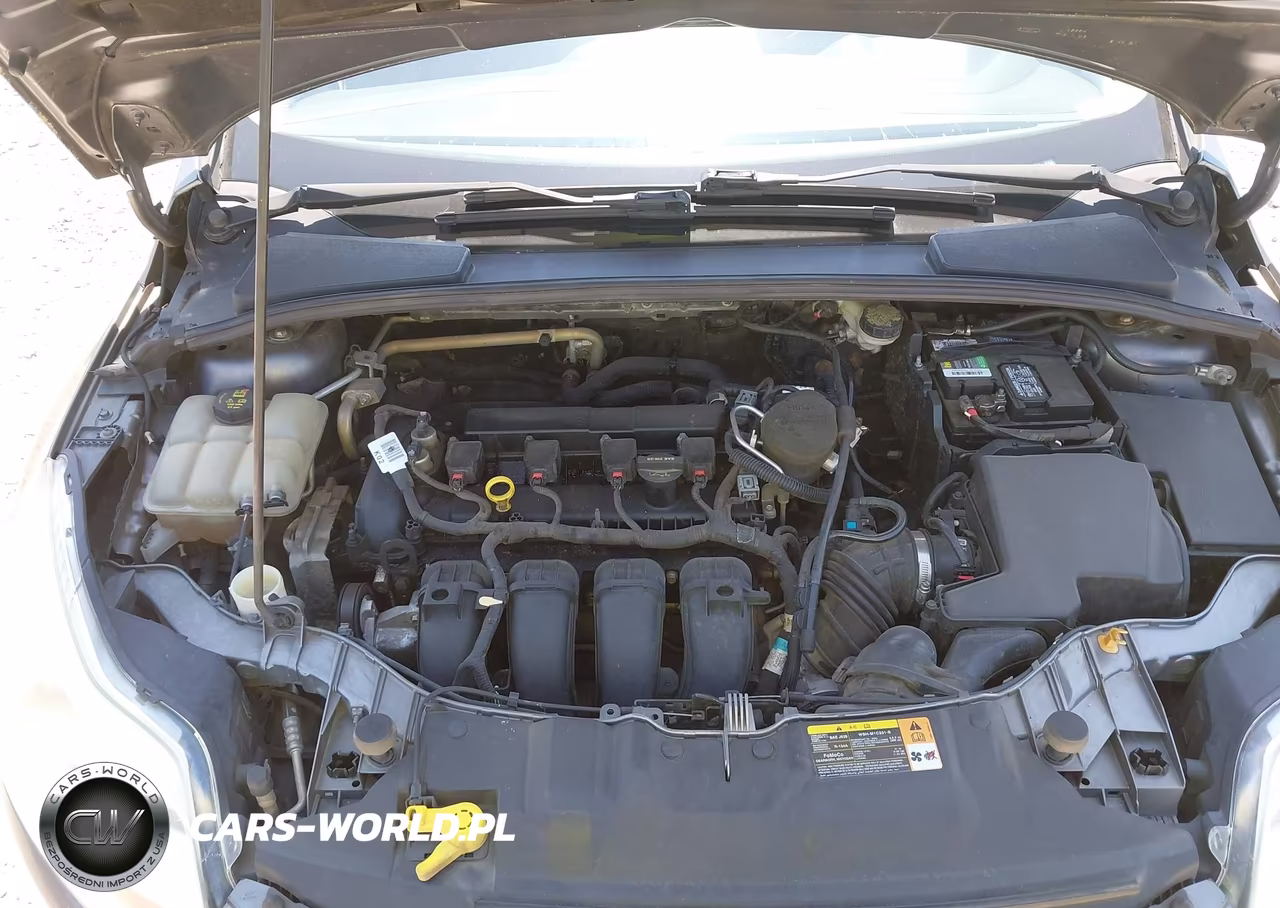 2014 Ford Focus Se VIN:1FADP3F23EL159484 - 10