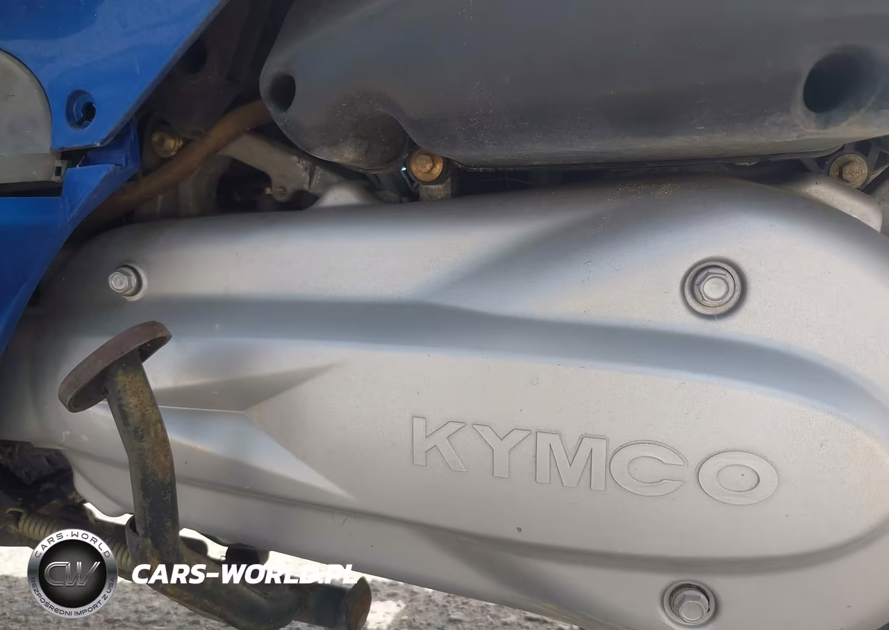 2006 Kymco Usa Inc Grand Vista 250 VIN:RFBS4K1996B200719 - 9