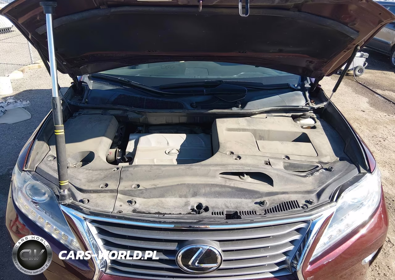 2015 Lexus Rx 350 VIN:2T2BK1BA5FC257793 - 10