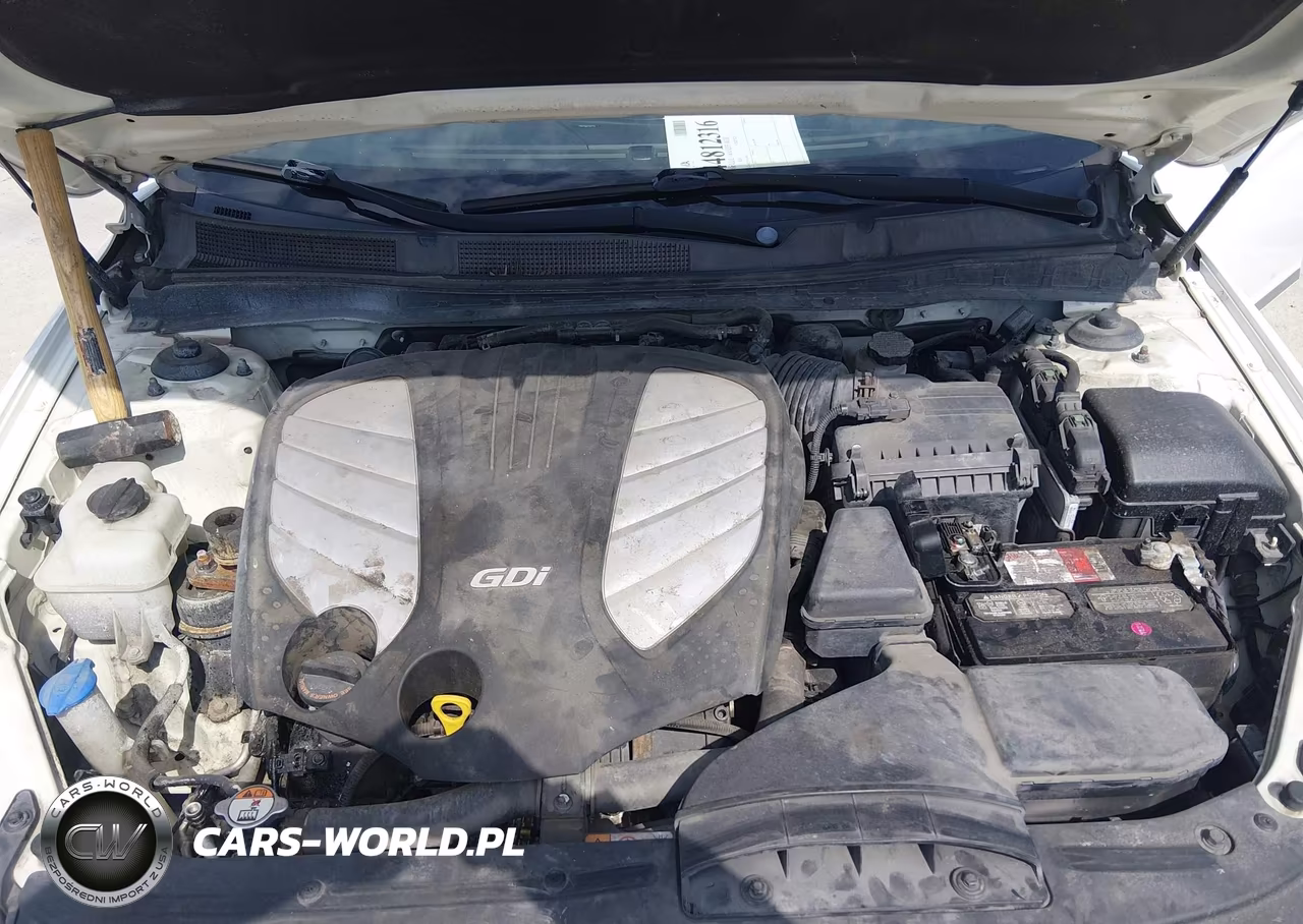 2014 Kia Cadenza Premium VIN:KNALN4D75E5134913 - 10
