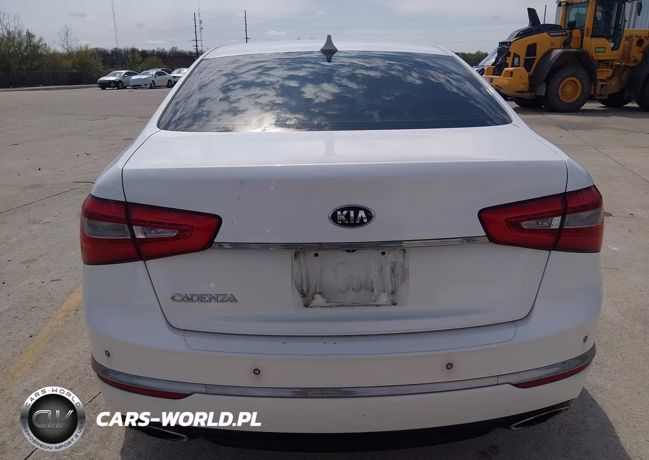2014 Kia Cadenza Premium VIN:KNALN4D75E5134913 - 12