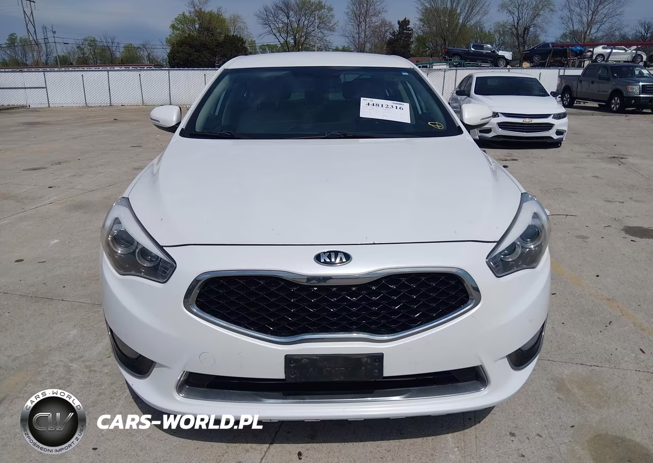 2014 Kia Cadenza Premium VIN:KNALN4D75E5134913 - 6