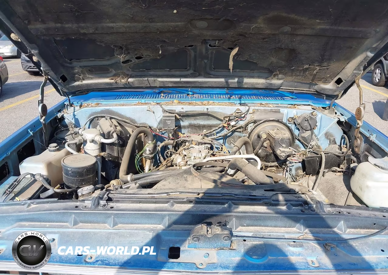 1986 Chevrolet C20 VIN:1GCGC24M3GS133879 - 10