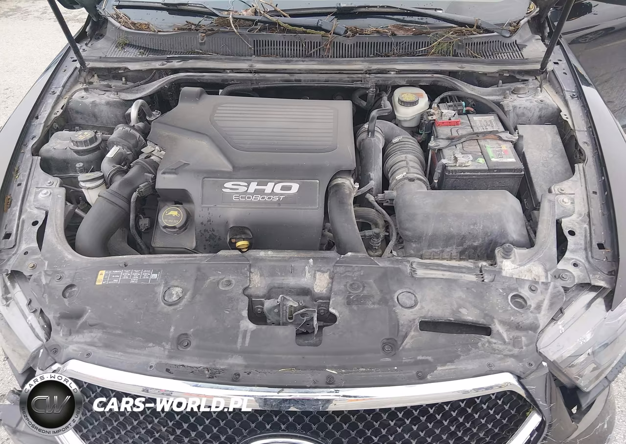 2017 Ford Taurus Sho VIN:1FAHP2KT4HG122984 - 10