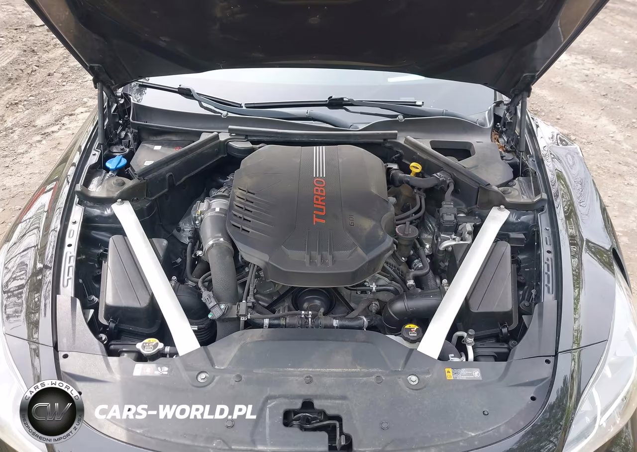 2018 Kia Stinger Gt2 VIN:KNAE55LCXJ6017197 - 10