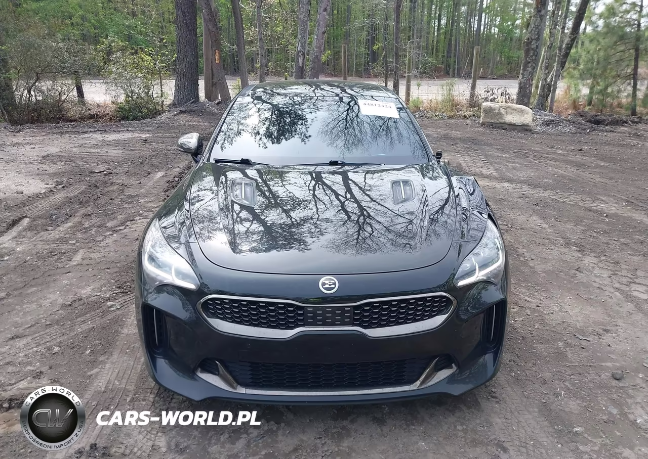 2018 Kia Stinger Gt2 VIN:KNAE55LCXJ6017197 - 12