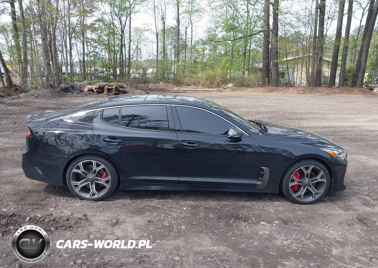 2018 Kia Stinger Gt2 VIN:KNAE55LCXJ6017197 - 13
