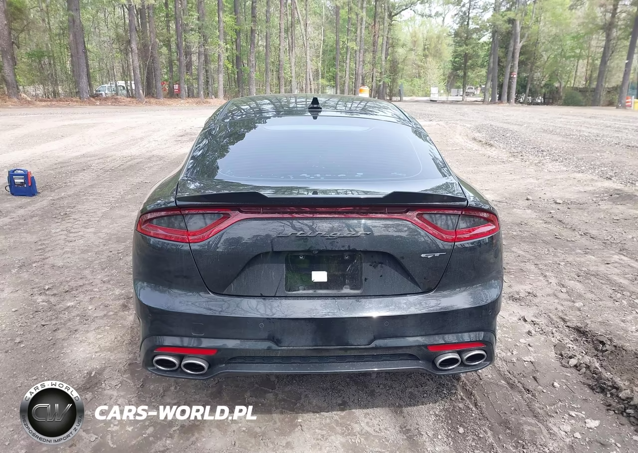 2018 Kia Stinger Gt2 VIN:KNAE55LCXJ6017197 - 16