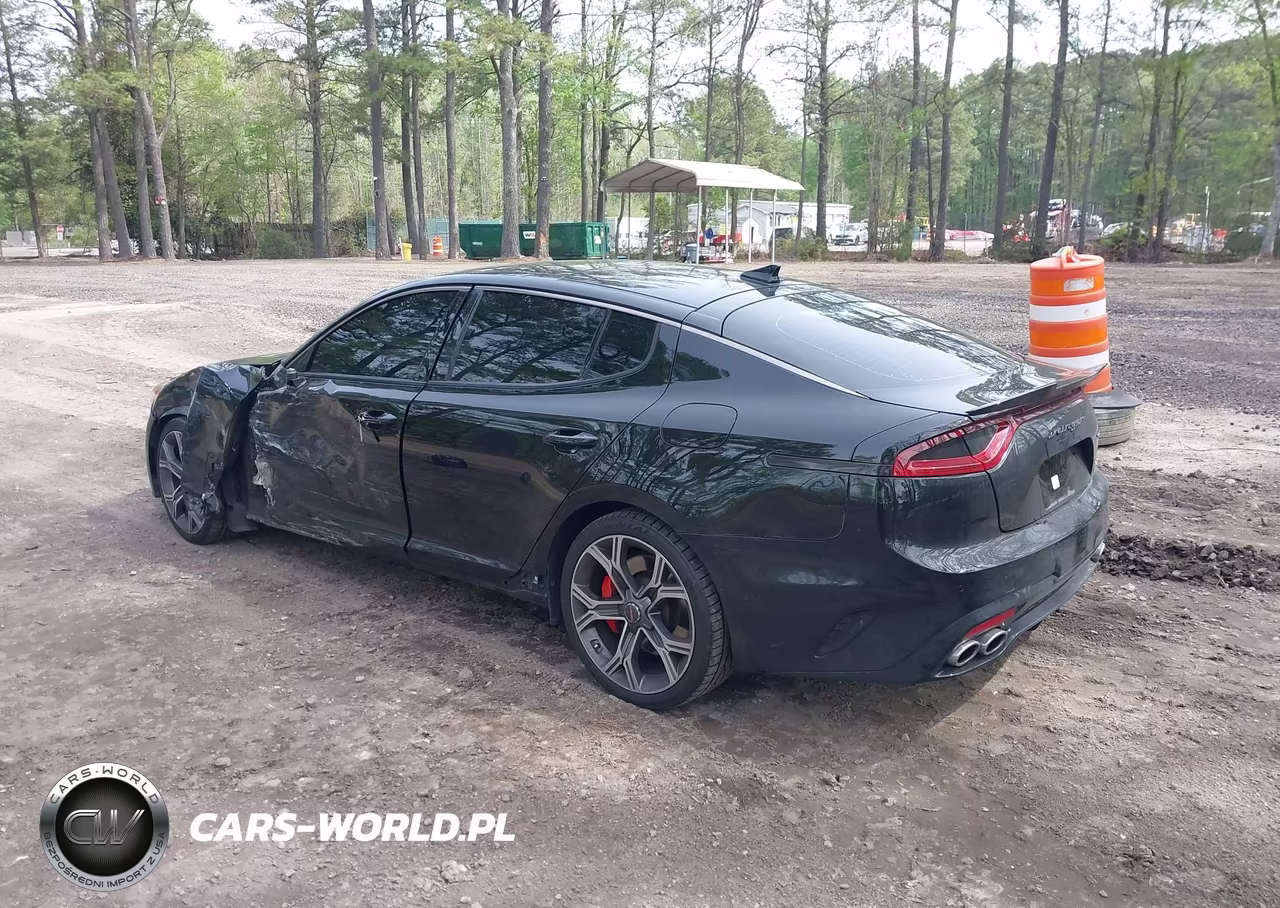2018 Kia Stinger Gt2 VIN:KNAE55LCXJ6017197 - 3