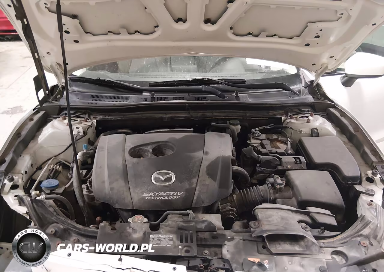 2014 Mazda Mazda3 I Sport VIN:JM1BM1K75E1202699 - 10