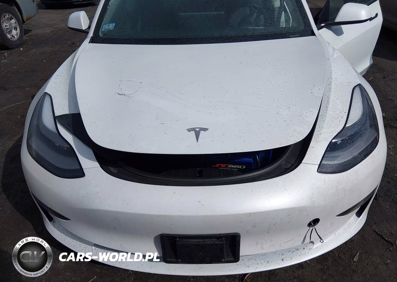 2021 Tesla Model 3 Long Range Dual Motor All-Wheel Drive VIN:5YJ3E1EBXMF056355 - 10