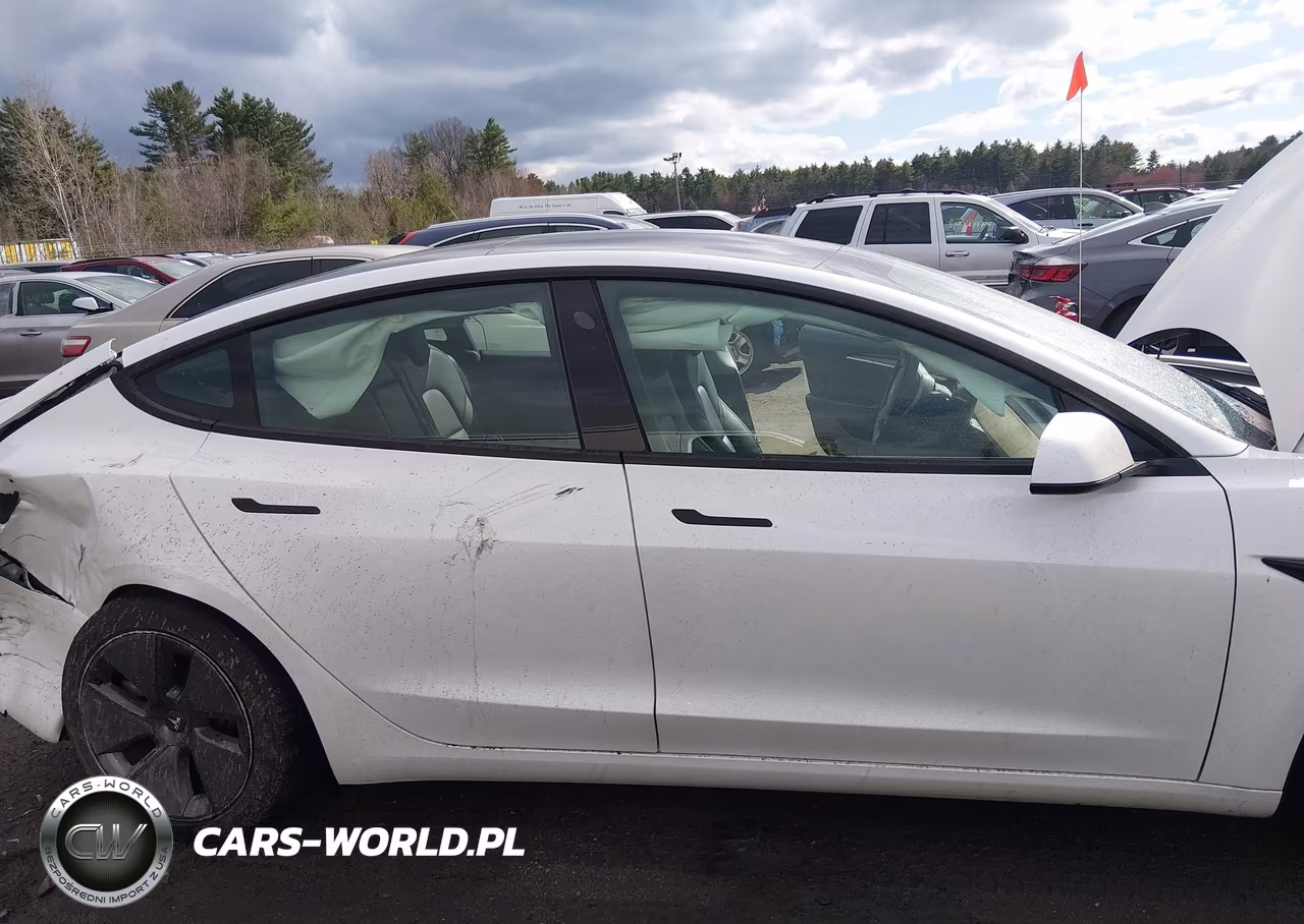 2021 Tesla Model 3 Long Range Dual Motor All-Wheel Drive VIN:5YJ3E1EBXMF056355 - 12