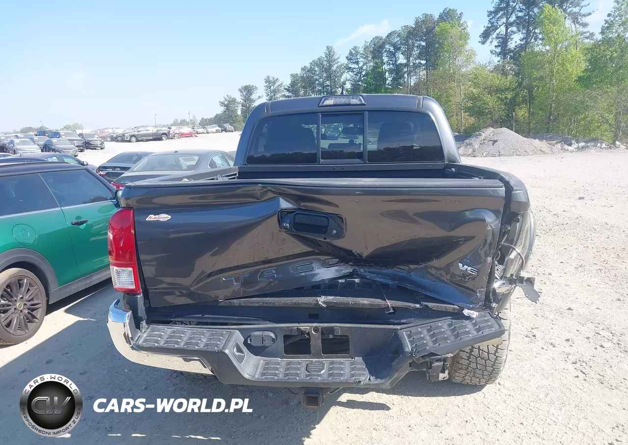 2016 Toyota Tacoma Sr5 V6 VIN:3TMAZ5CN4GM001447 - 16