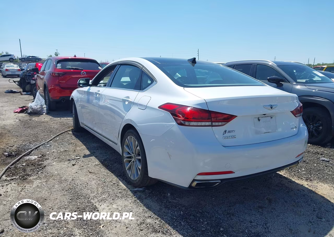 2015 Hyundai Genesis 3.8 VIN:KMHGN4JE3FU039356 - 3