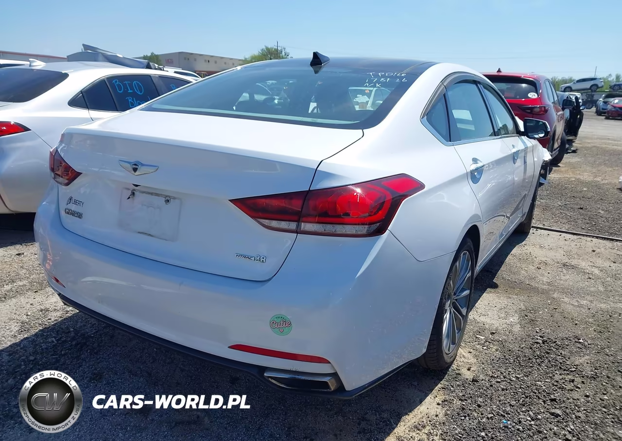 2015 Hyundai Genesis 3.8 VIN:KMHGN4JE3FU039356 - 4