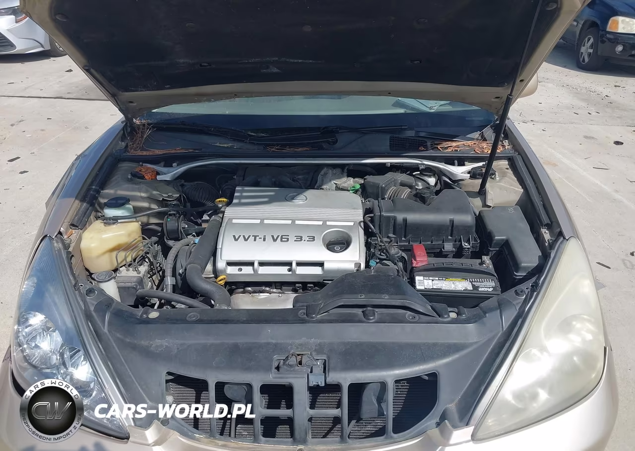 2004 Lexus Es 330 VIN:JTHBA30G240009209 - 10