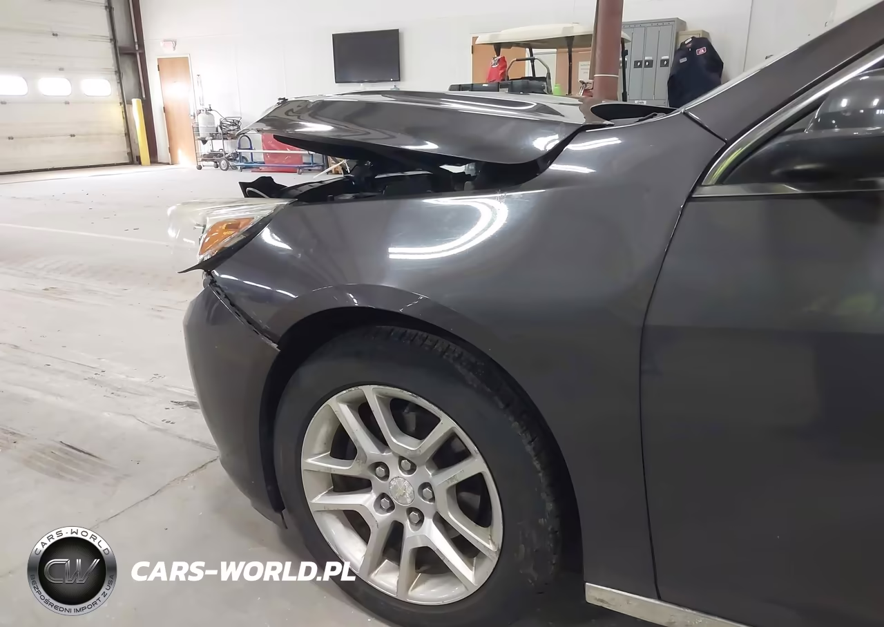 2013 Chevrolet Malibu Eco VIN:1G11D5RR1DF109344 - 20