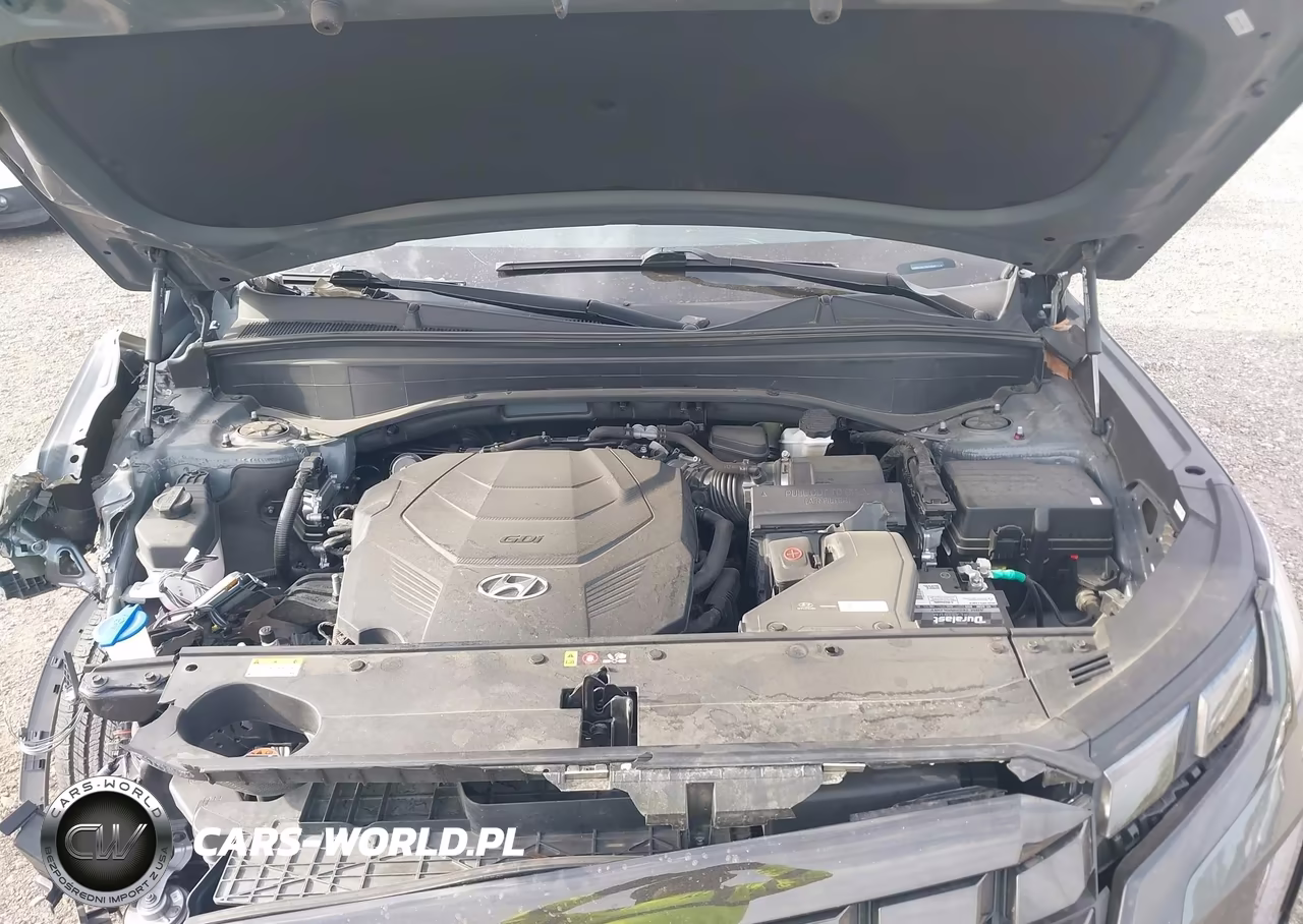 2024 Hyundai Palisade Sel VIN:KM8R24GE7RU706541 - 10