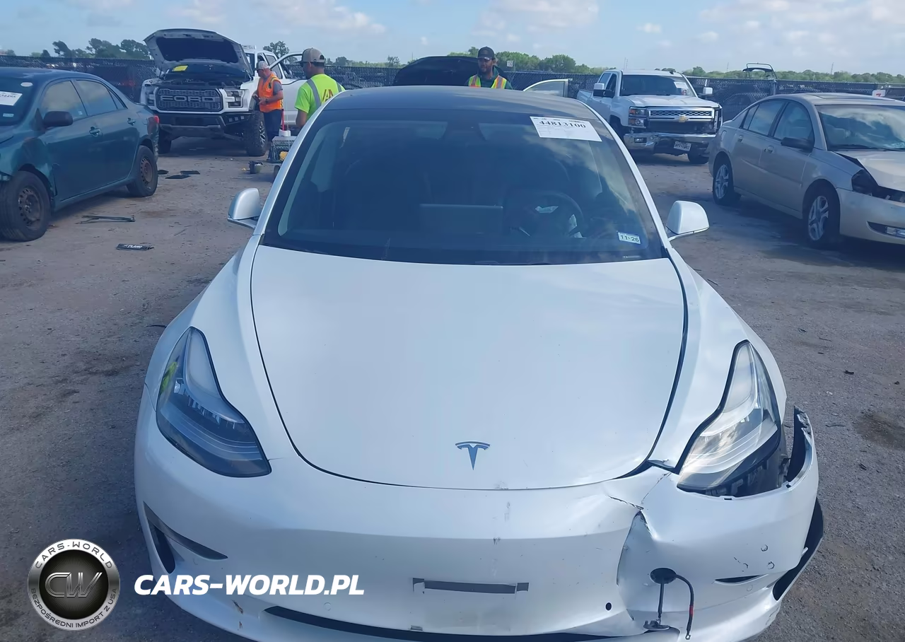 2020 Tesla Model 3 Standard Range Plus Rear-Wheel Drive-Standard Range Rear-Wheel Drive VIN:5YJ3E1EA7LF504430 - 12