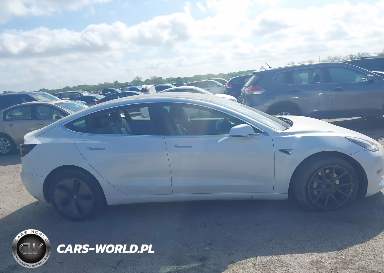 2020 Tesla Model 3 Standard Range Plus Rear-Wheel Drive-Standard Range Rear-Wheel Drive VIN:5YJ3E1EA7LF504430 - 13