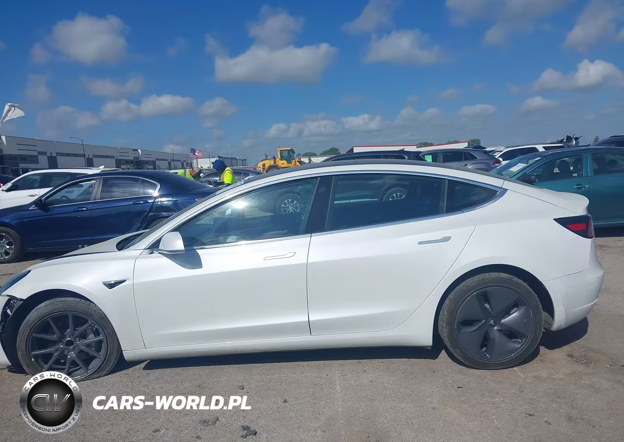 2020 Tesla Model 3 Standard Range Plus Rear-Wheel Drive-Standard Range Rear-Wheel Drive VIN:5YJ3E1EA7LF504430 - 14