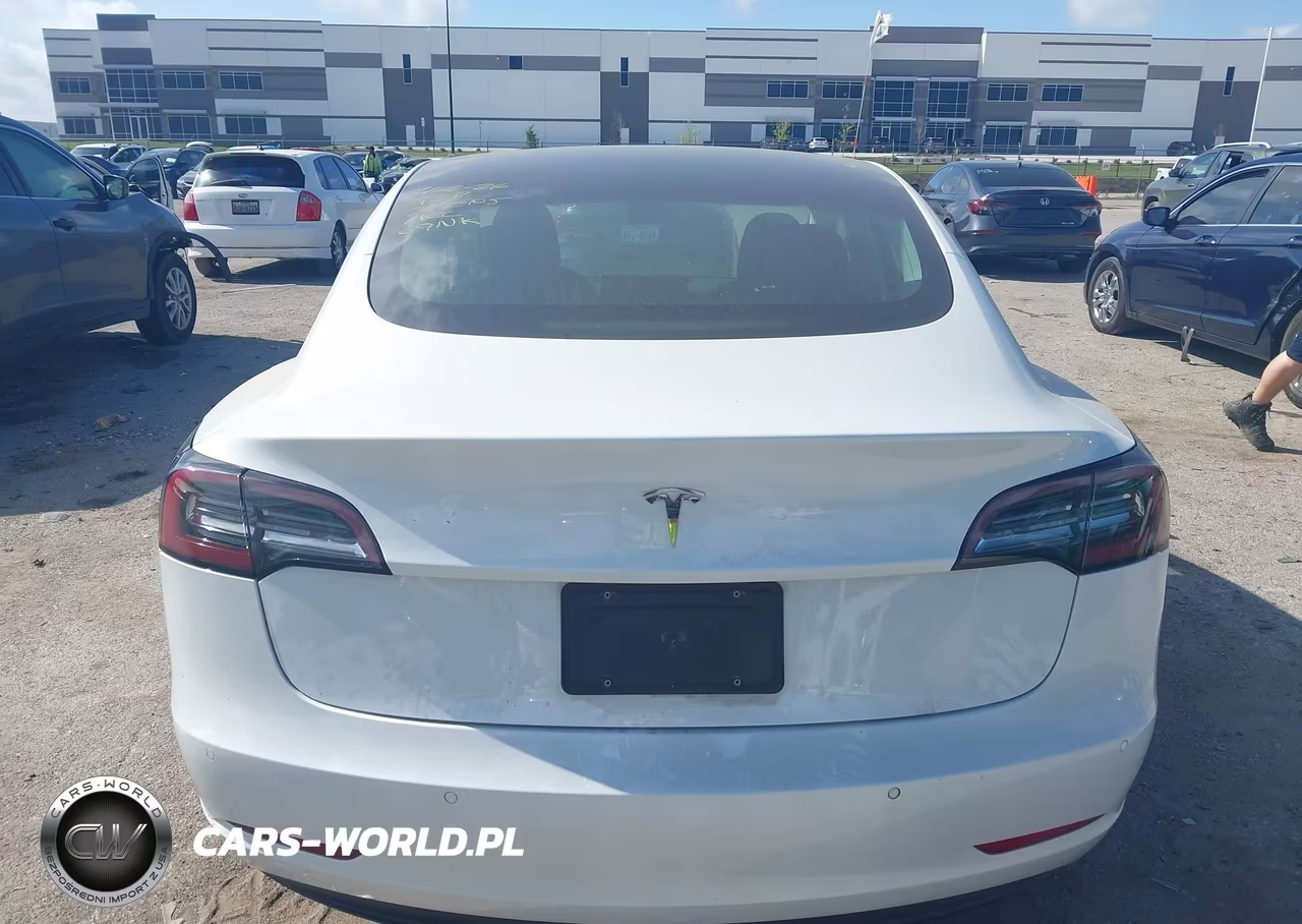 2020 Tesla Model 3 Standard Range Plus Rear-Wheel Drive-Standard Range Rear-Wheel Drive VIN:5YJ3E1EA7LF504430 - 16