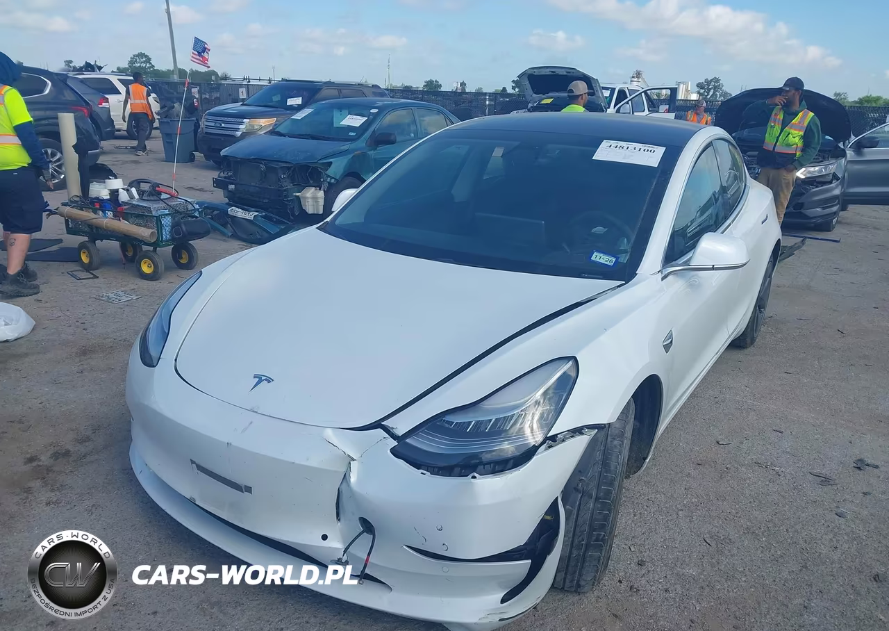 2020 Tesla Model 3 Standard Range Plus Rear-Wheel Drive-Standard Range Rear-Wheel Drive VIN:5YJ3E1EA7LF504430 - 2