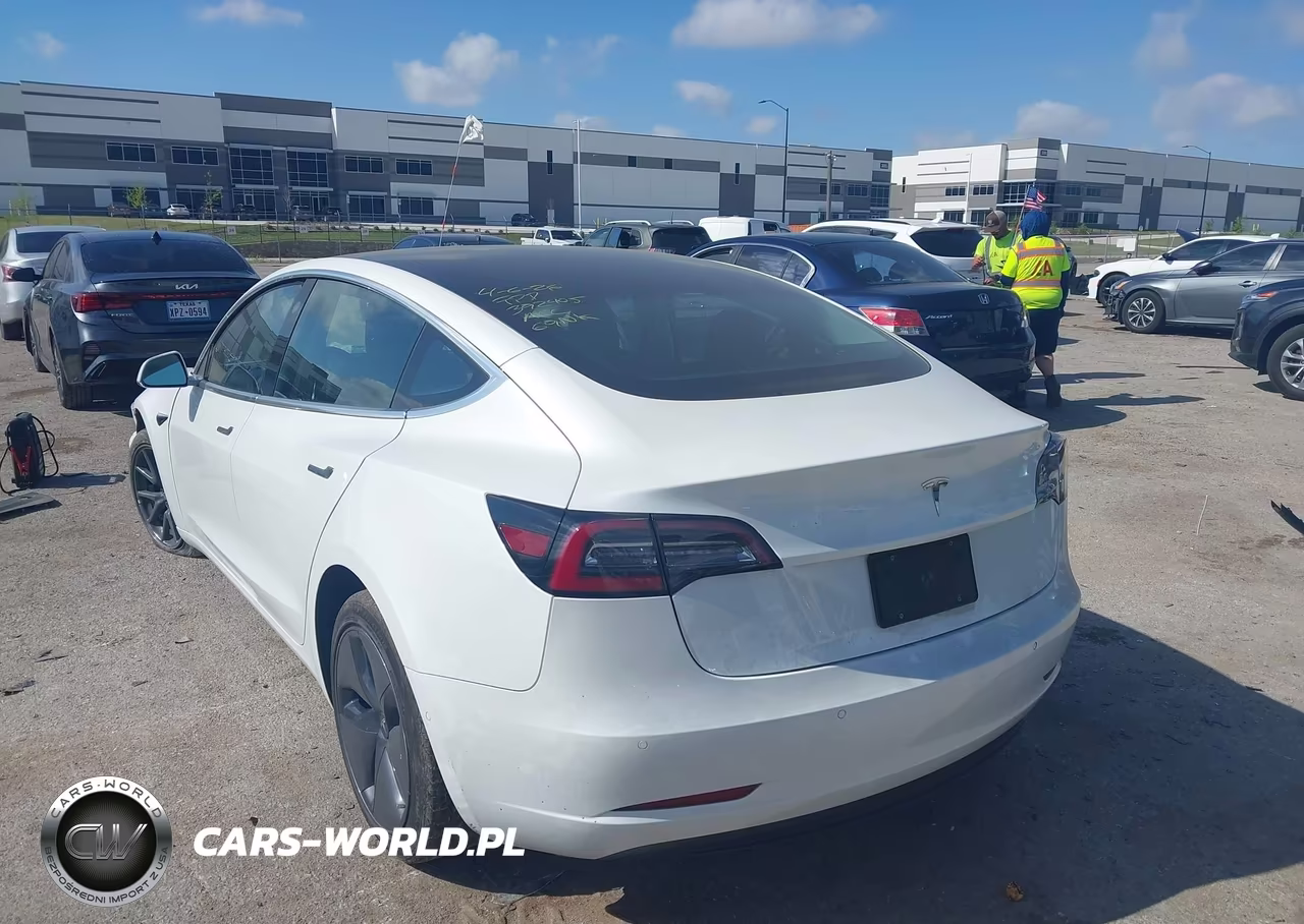 2020 Tesla Model 3 Standard Range Plus Rear-Wheel Drive-Standard Range Rear-Wheel Drive VIN:5YJ3E1EA7LF504430 - 3